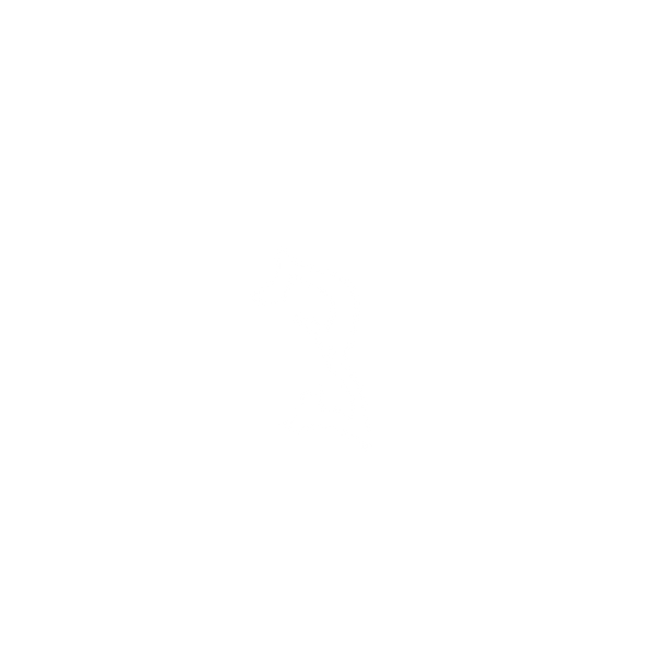 Persistentia